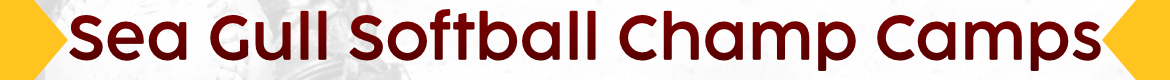 Salisbury Softball Camps -Lacey Lister Softball Camps